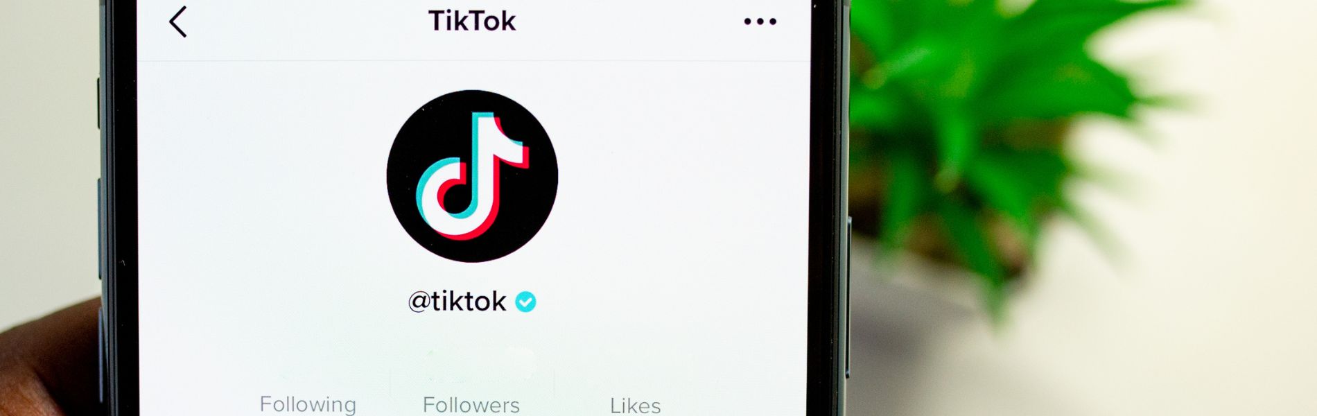 Instagram Reels o TikTok? Ecco le differenze che i brand devono conoscere