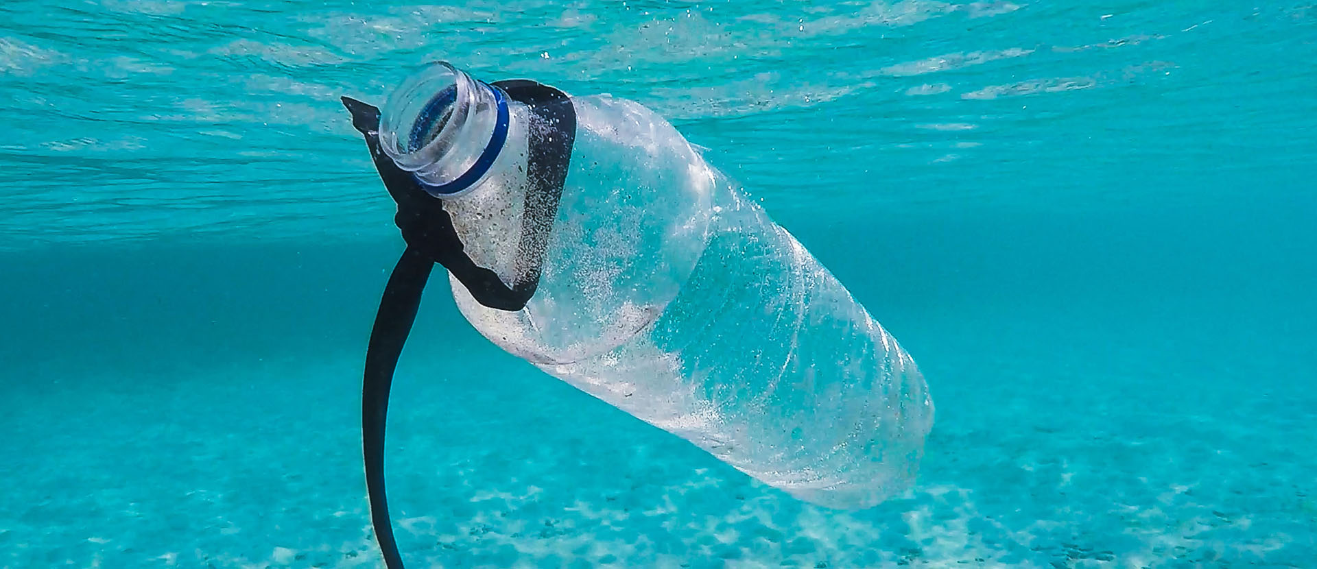 Plastica nei mari: ecco chi la combatte a colpi di marketing (e video hot)